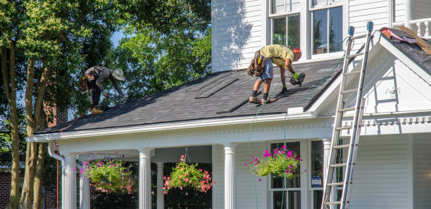 Best Roof Gutter Cleaning  in Sebring, OH